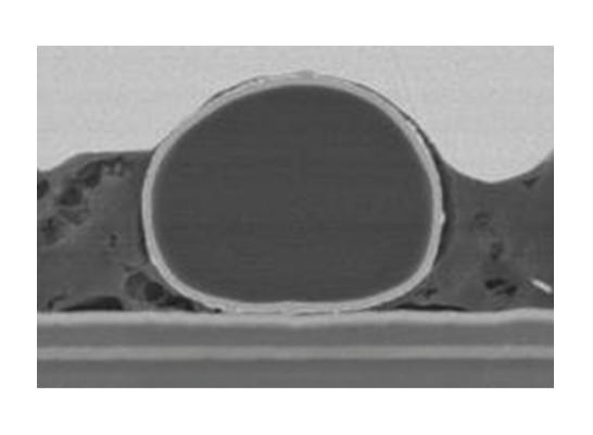 硬質(zhì)樹(shù)脂核心粒子